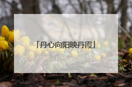 丹心向阳映丹霞